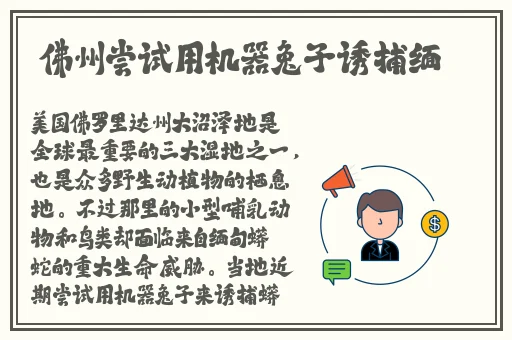 他把手探进我的衣服下摆